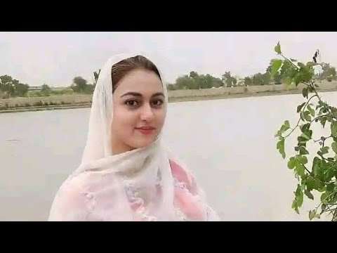 Zarorat rishta vlog new video